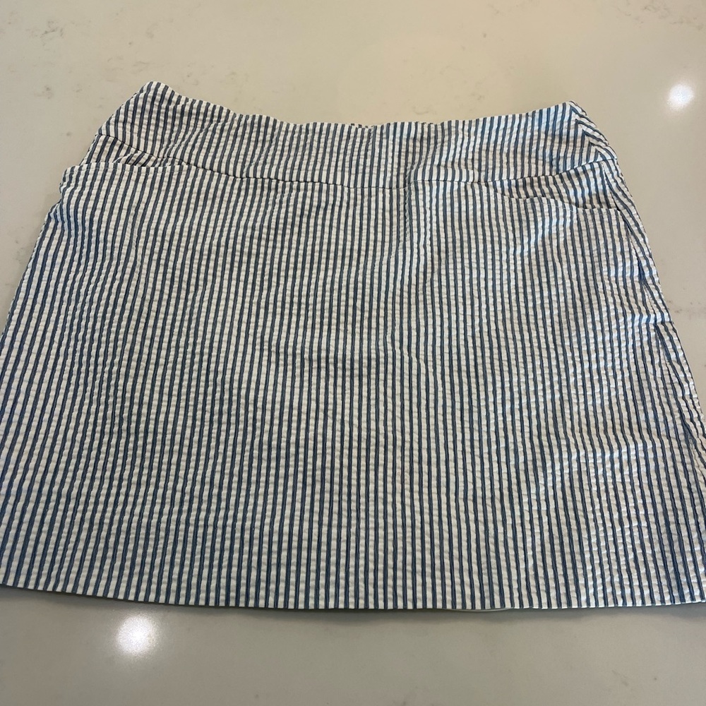 BLUE STRIPED SKIRT